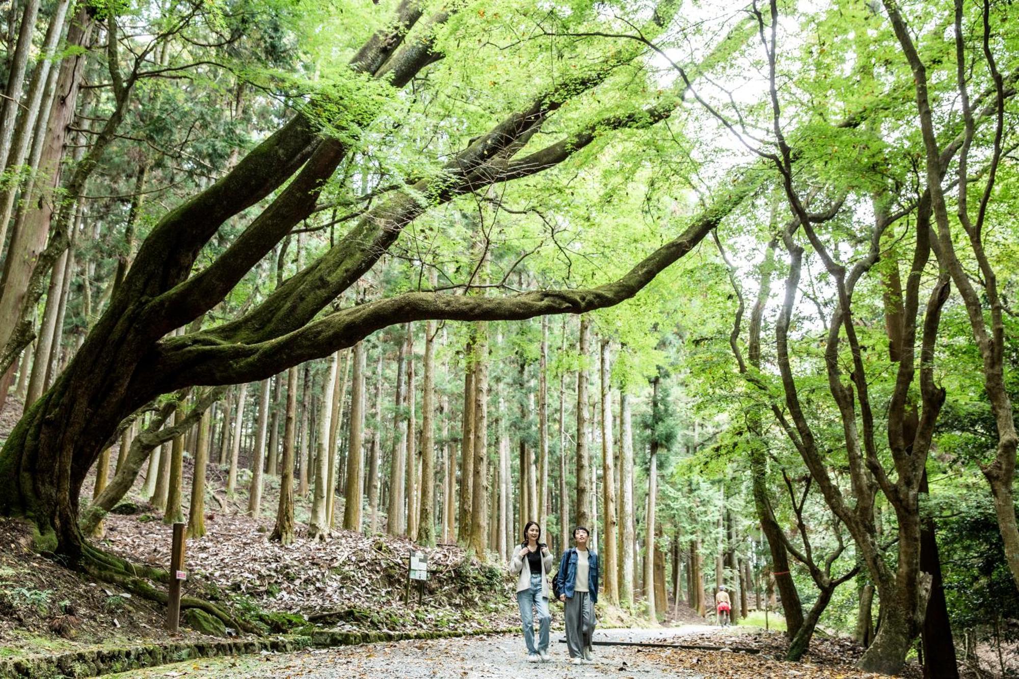 Ando Hotel Nara Wakakusayama -Dlight Life & Hotels- Экстерьер фото